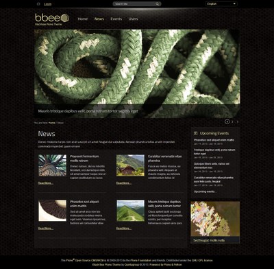 Black Bee Plone Theme