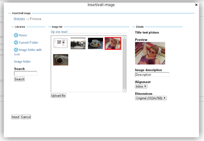 collective.tinymceplugins.imagebrowser