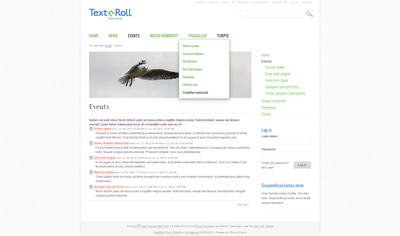 Text'n'Roll Plone Theme